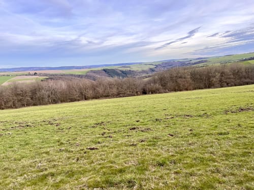 Von Trier zum Auf der Höhe
