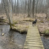 Pohatcong Creek Trail, New Jersey - 70 Reviews, Map | AllTrails