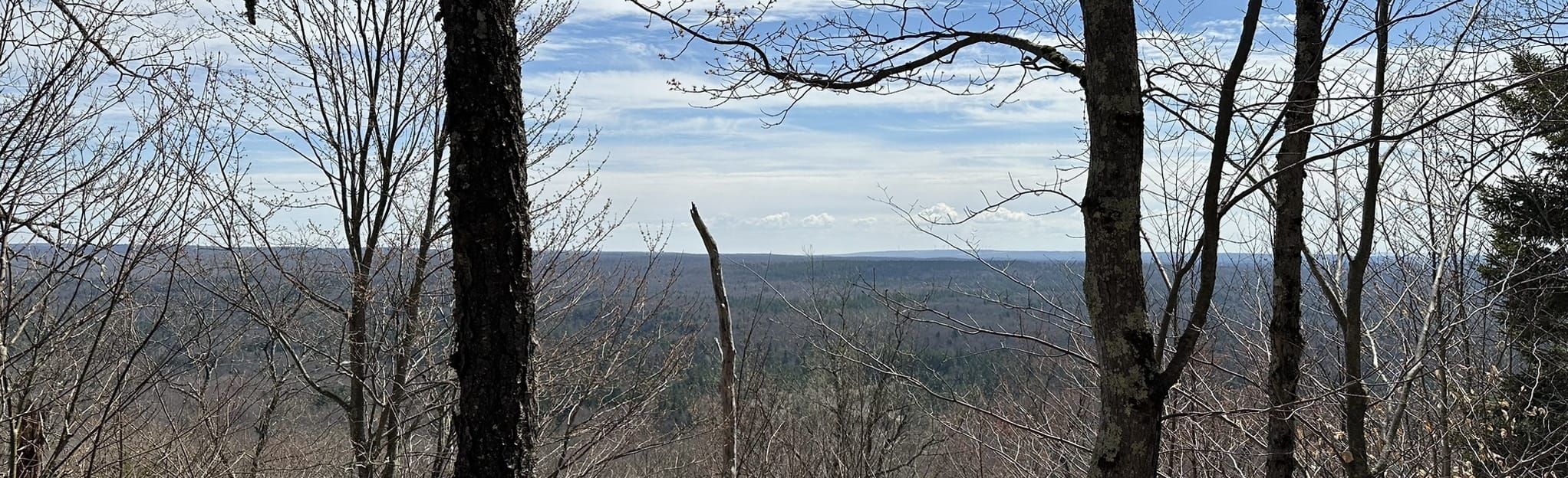 Black River Wild Forest Vista Trail, New York 29 Reviews, Map AllTrails