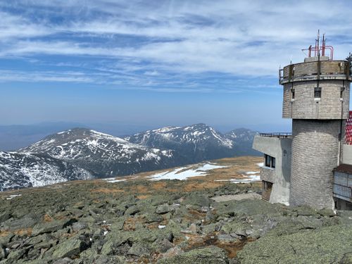 are dogs allowed on mount washington