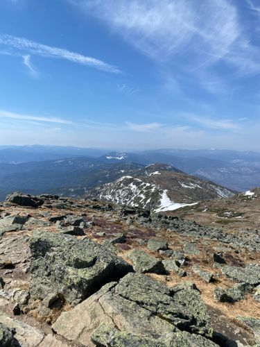 are dogs allowed on mount washington