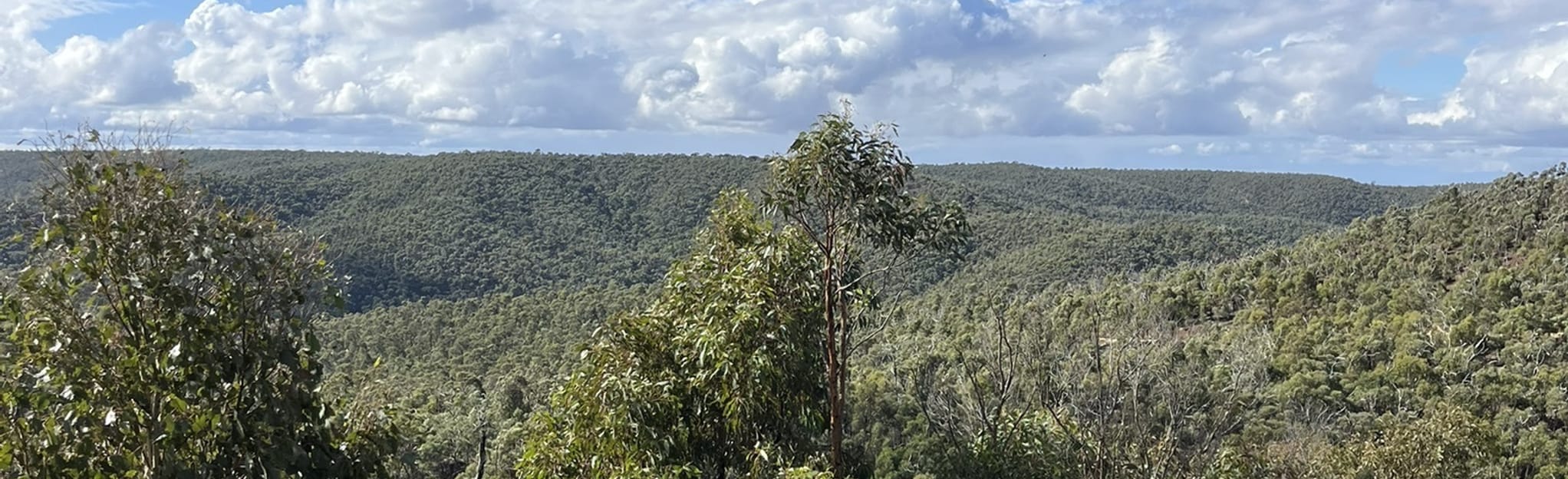 Ted Errey Nature Circuit via Stony Creek 38 Reviews, Map Victoria