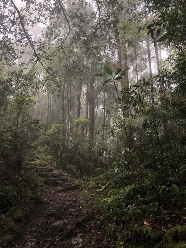 Best 10 Hikes And Trails In Kinabalu National Park | AllTrails