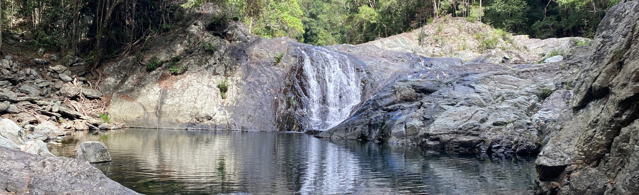 Conondale Range Great Walk Wongai to Booloumba 17 Reviews, 147 Photos