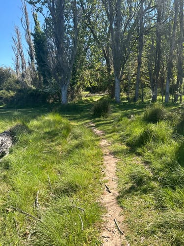 2023 Best Easy Trails in Nadadouro AllTrails