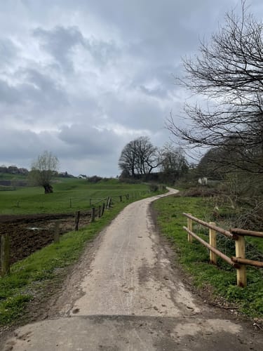 Bad Arolsen Wanderweg H4
