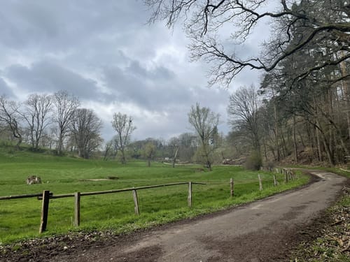 Bad Arolsen Wanderweg H4