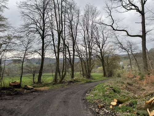 Bad Arolsen Wanderweg H4