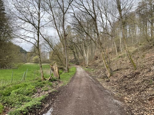 Bad Arolsen Wanderweg H4