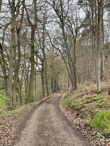 Bad Arolsen Wanderweg H4