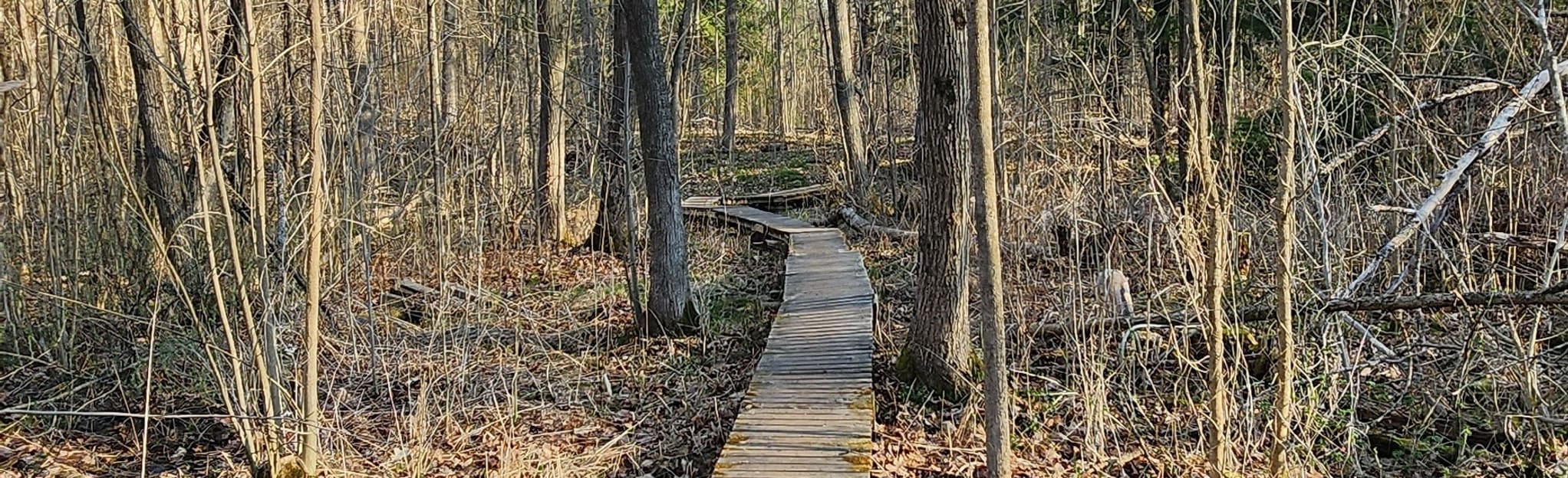 Brown Hill Tract from Ravenshoe Road, Ontario, Canada 470 Reviews