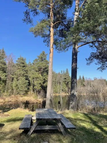 Best Views Trails in Vårgårda AllTrails