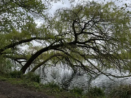 Best Hikes and Trails in Delapre Park | AllTrails