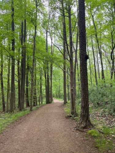 Best Hikes and Trails in McAlpine Creek Park | AllTrails