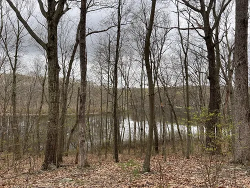 Best Hikes and Trails in Mono Pond State Park Reserve | AllTrails