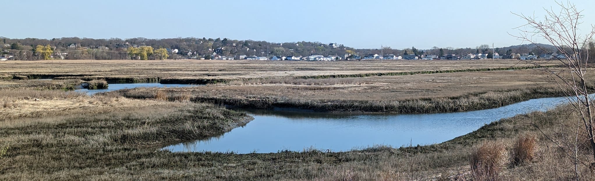 Escape To Nature's Embrace: Exploring Rumney Marsh Reservation