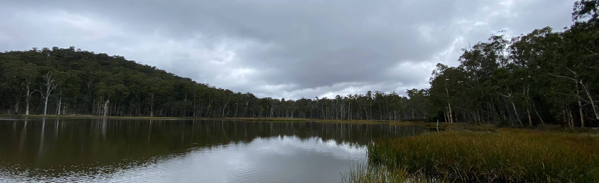 Cobbler Lake Short Loop: 3 Reviews, Map - Victoria, Australia | AllTrails