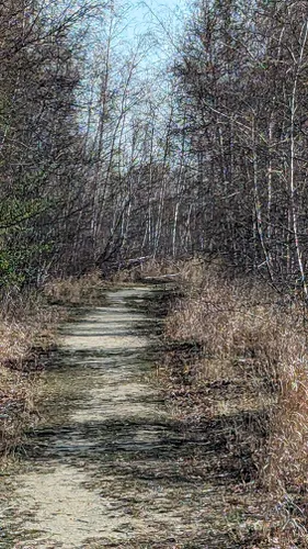 Escape to Nature's Embrace: Exploring Rumney Marsh Reservation