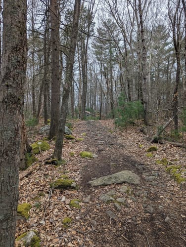 wompatuck state park bike trails