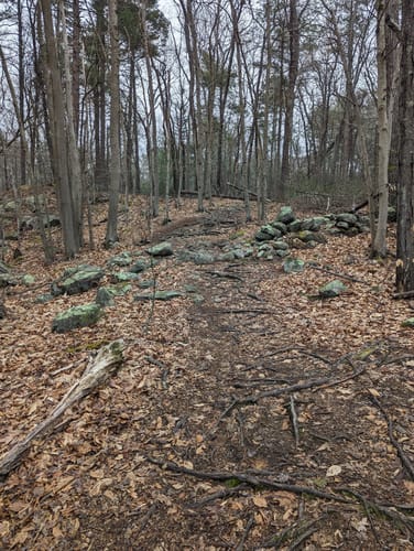 wompatuck state park bike trails