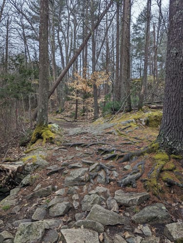 wompatuck state park bike trails