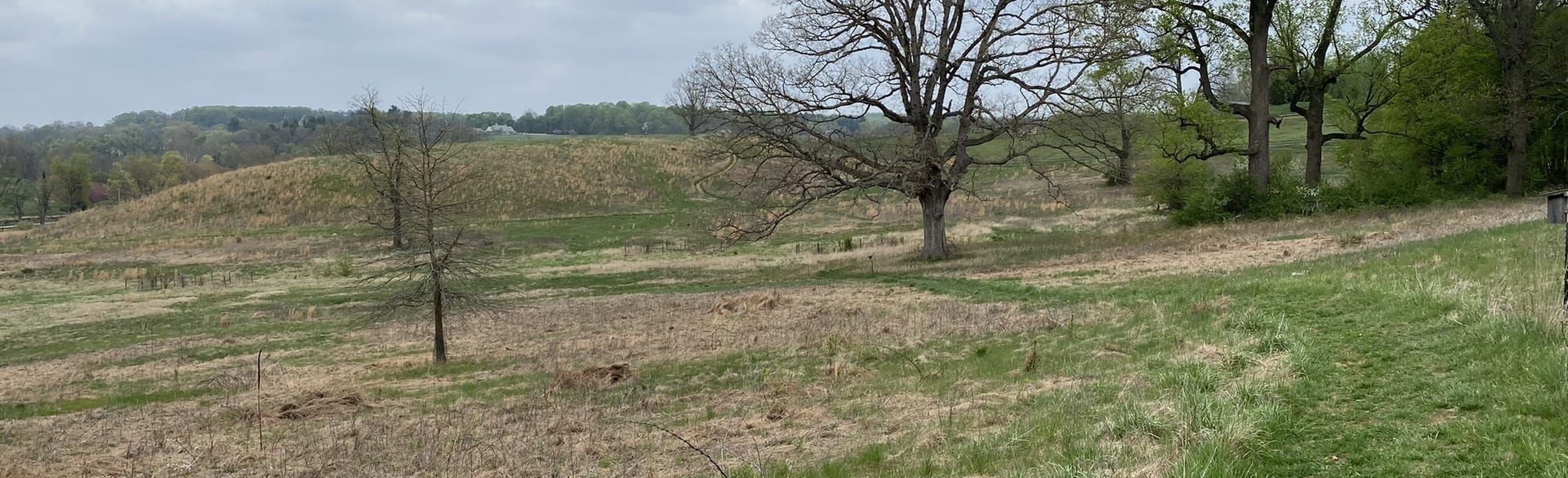 Grassland Spur to Massey Run Loop, Pennsylvania Map, Guide AllTrails