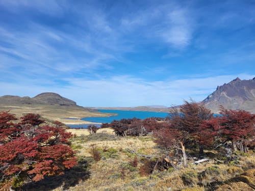 Las mejores rutas para ver fauna en Río Chico en 2023 AllTrails