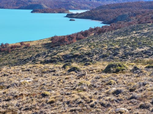 2023 Best 10 Views Trails in Río Chico AllTrails