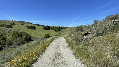 Santa teresa cheap mountain biking