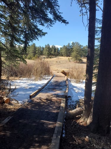 2023 Best Forest Trails in Flying J Ranch Park | AllTrails