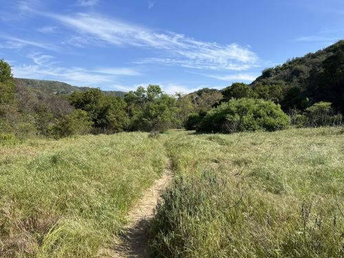 Best Hikes And Trails In Bommer Canyon Open Space Preserve 