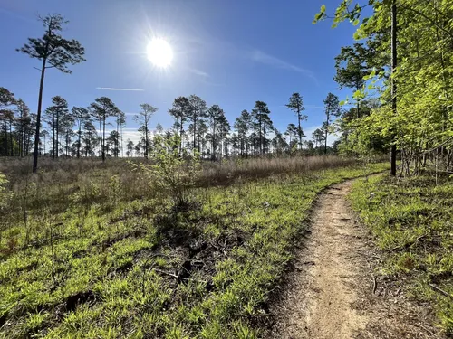 Trail discount running columbia