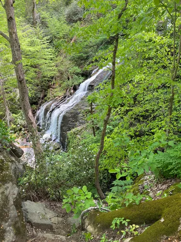 Best Hikes and Trails in Tryon | AllTrails