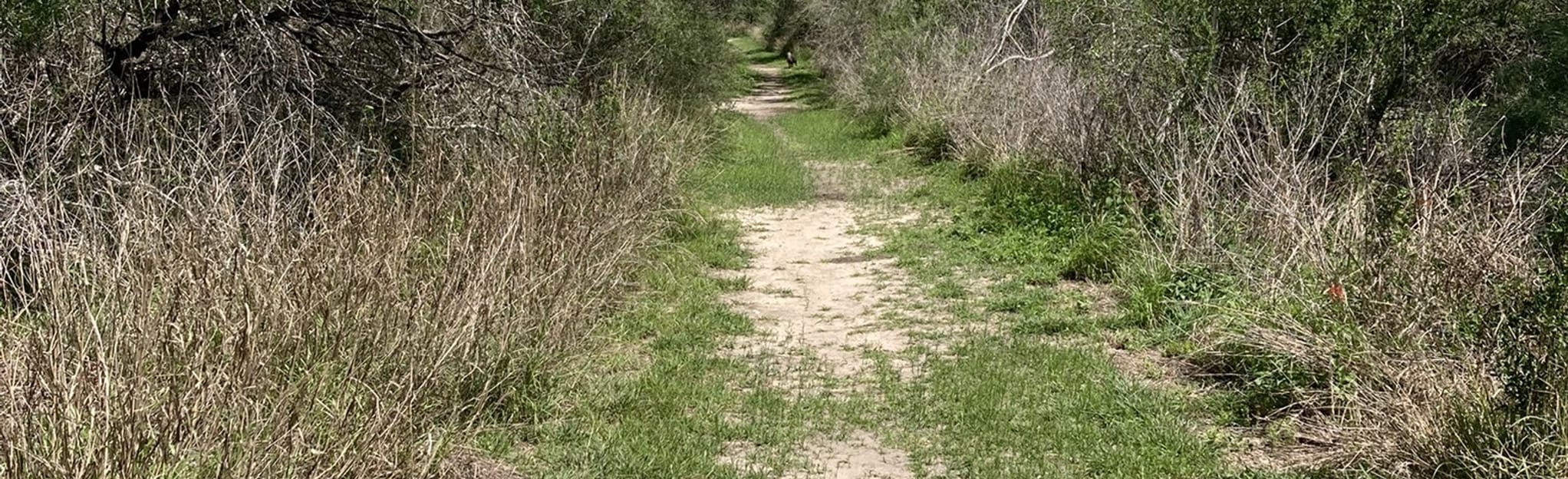 Choke Canyon Campground Loop 40 Reviews, Map Texas AllTrails