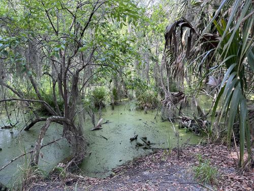 Willow Pond Nature Trail, Florida - 145 Reviews, Map