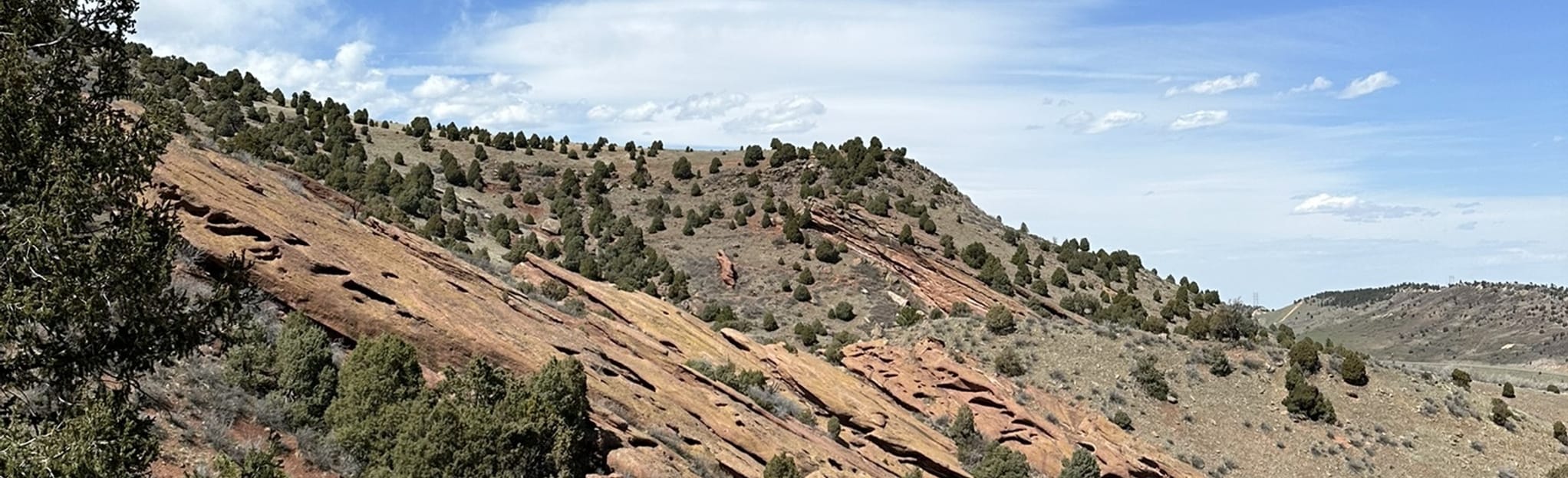 Geological Overlook Trail, 577 Photos - Colorado | AllTrails