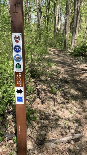 Best Hikes and Trails in Walking Purchase Park | AllTrails