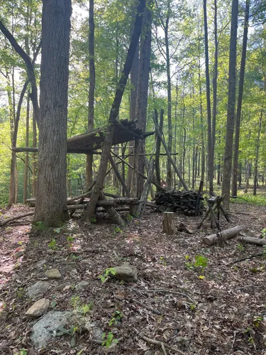 2023 Best Historic Site Trails in Rutledge | AllTrails