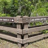 Lake Apopka North Shore, Florida - 311 Reviews, Map | AllTrails