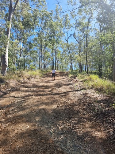 Best 10 Hikes and Trails in Moggill Conservation Park | AllTrails