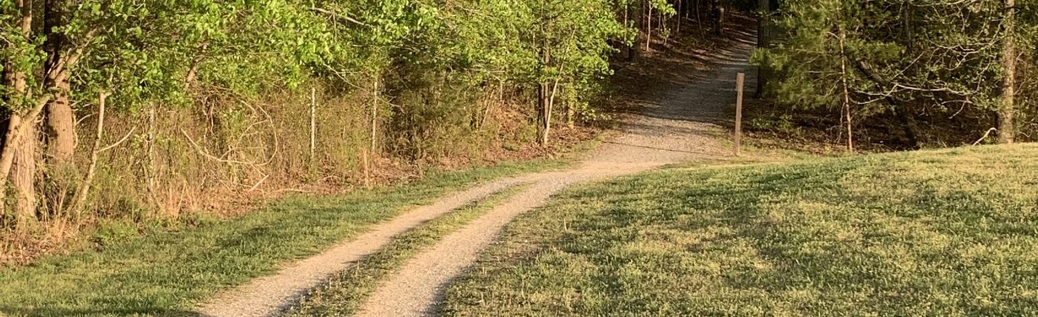 Laurel Springs and Tilghman Double Loop , Maryland 145 Reviews, Map