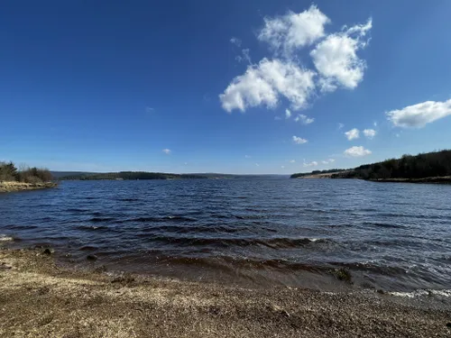 Fishing in Northumberland