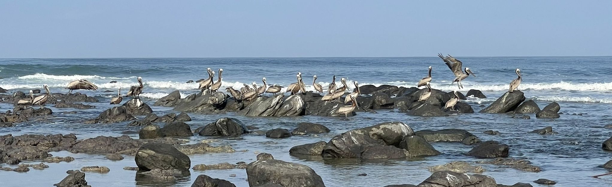 Playa Punta Troncones, Guerrero, Mexico - 4 Reviews, Map | AllTrails