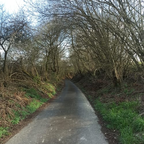 Wanderweg W3 (Weyerbusch)