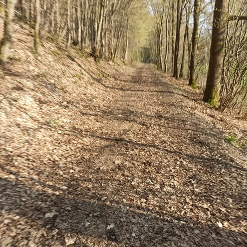 Wanderweg W3 (Weyerbusch)