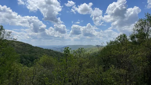 10 Best Hikes And Trails In Monte Sano State Park 