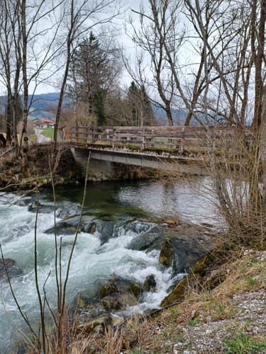 MTB: Rund um den Schliersberg
