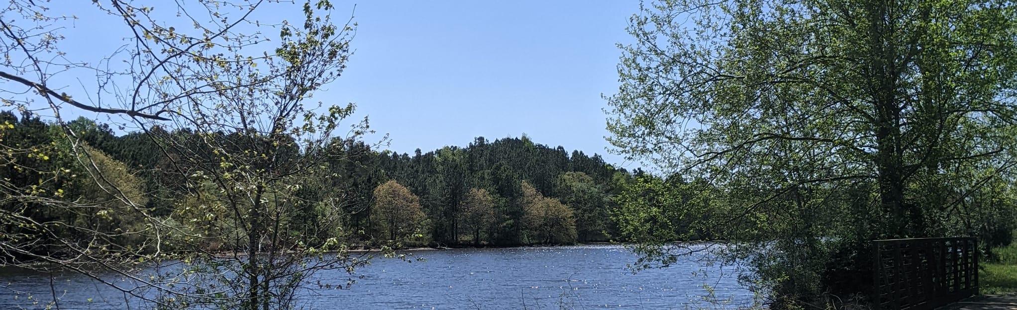 Marshyhope Creek Path South via Marina Park, Maryland 15 Reviews, Map