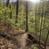 Three Ridges Loop via Appalachian Trail and Mau-Har Trail, Virginia ...