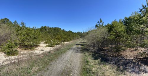 Best Hikes and Trails in Edgewood Oak Brush Plains Preserve | AllTrails